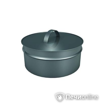 Заглушки Теплов и Сухов Заглушка ревизии Термо-Р 304 0.5 D250(150) в Нижней Туре