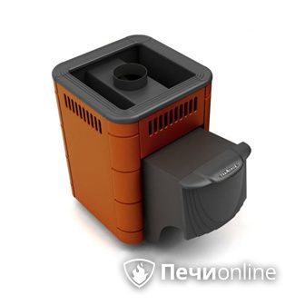 Дровяная банная печь TMF Оса Carbon терракота дверь антрацит в Нижней Туре
