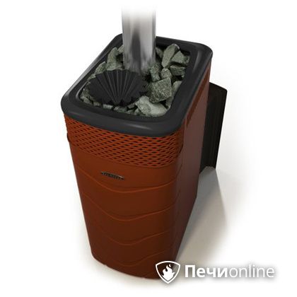 Дровяная банная печь TMF Гейзер XXL 2017 Inox Витра закрытая каменка терракота в Нижней Туре